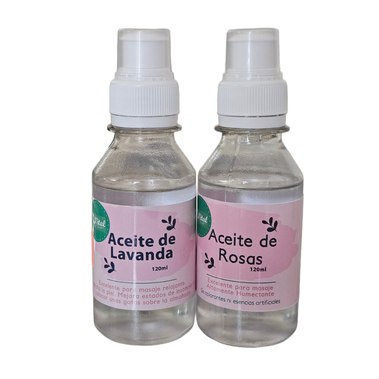 WhatsApp Image 2026-01-22 at 12.13.32 PM (2)